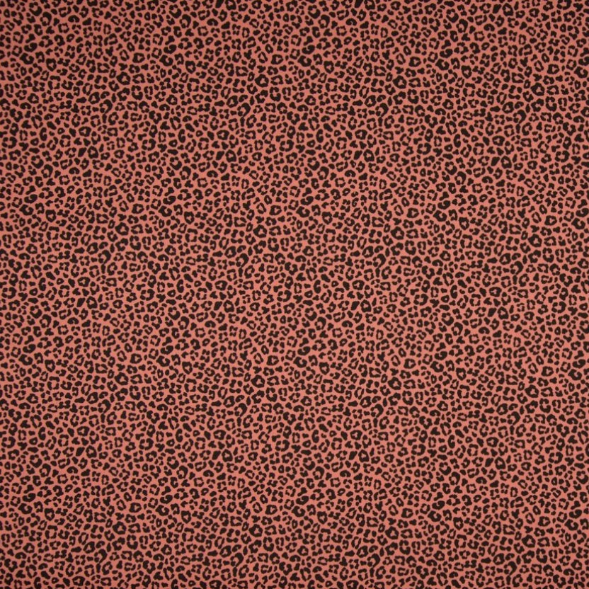 Tissu Coton Imprimé - 014