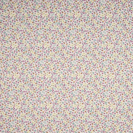 Tissu Coton Imprimé - 042