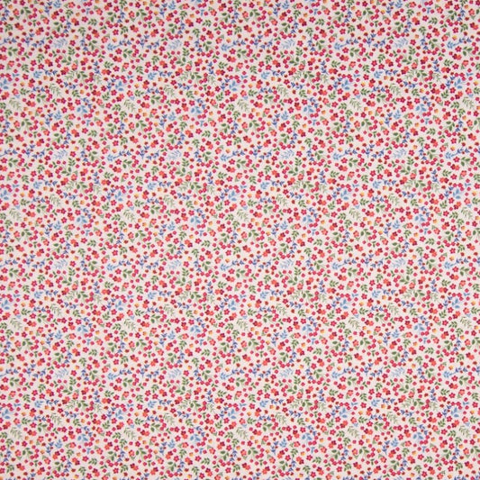 Tissu Coton Imprimé - 045