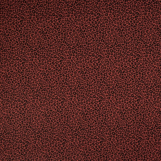 Tissu Coton Imprimé - 057