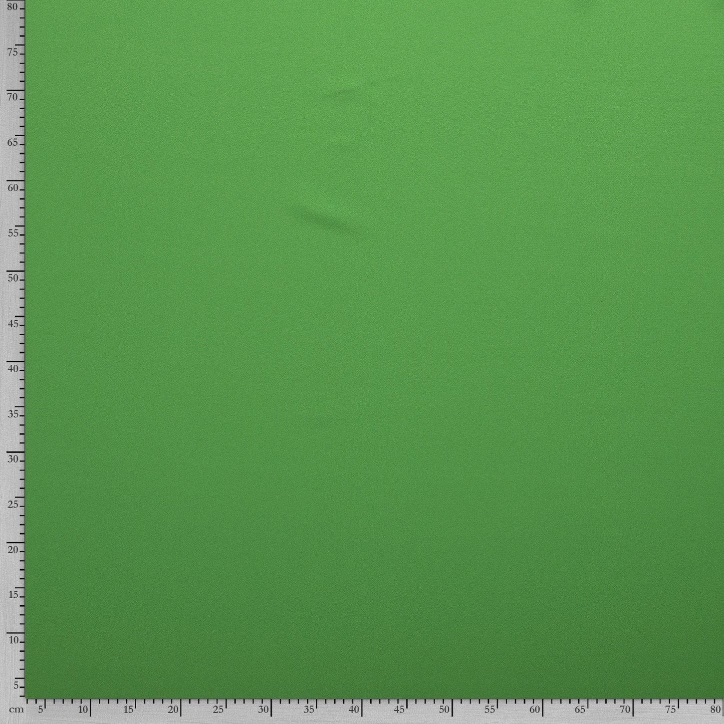 Tissu Burlington Stretch - Light Green
