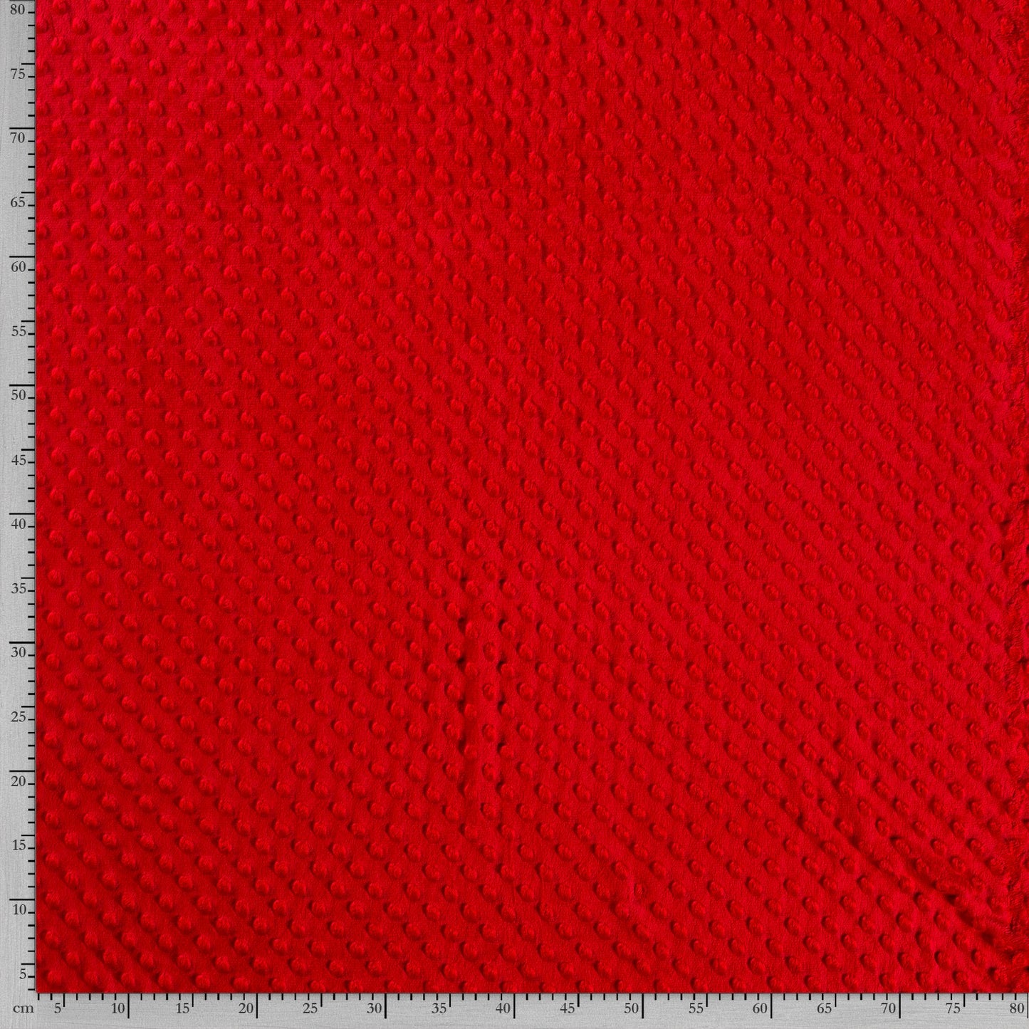 Tissu Velours Minky - 015
