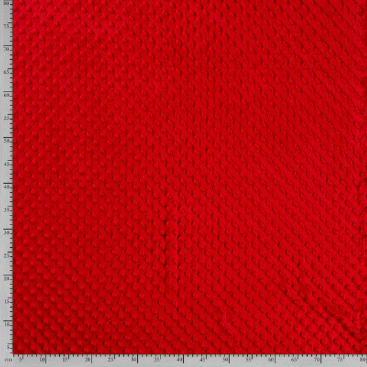 Tissu Velours Minky - 015