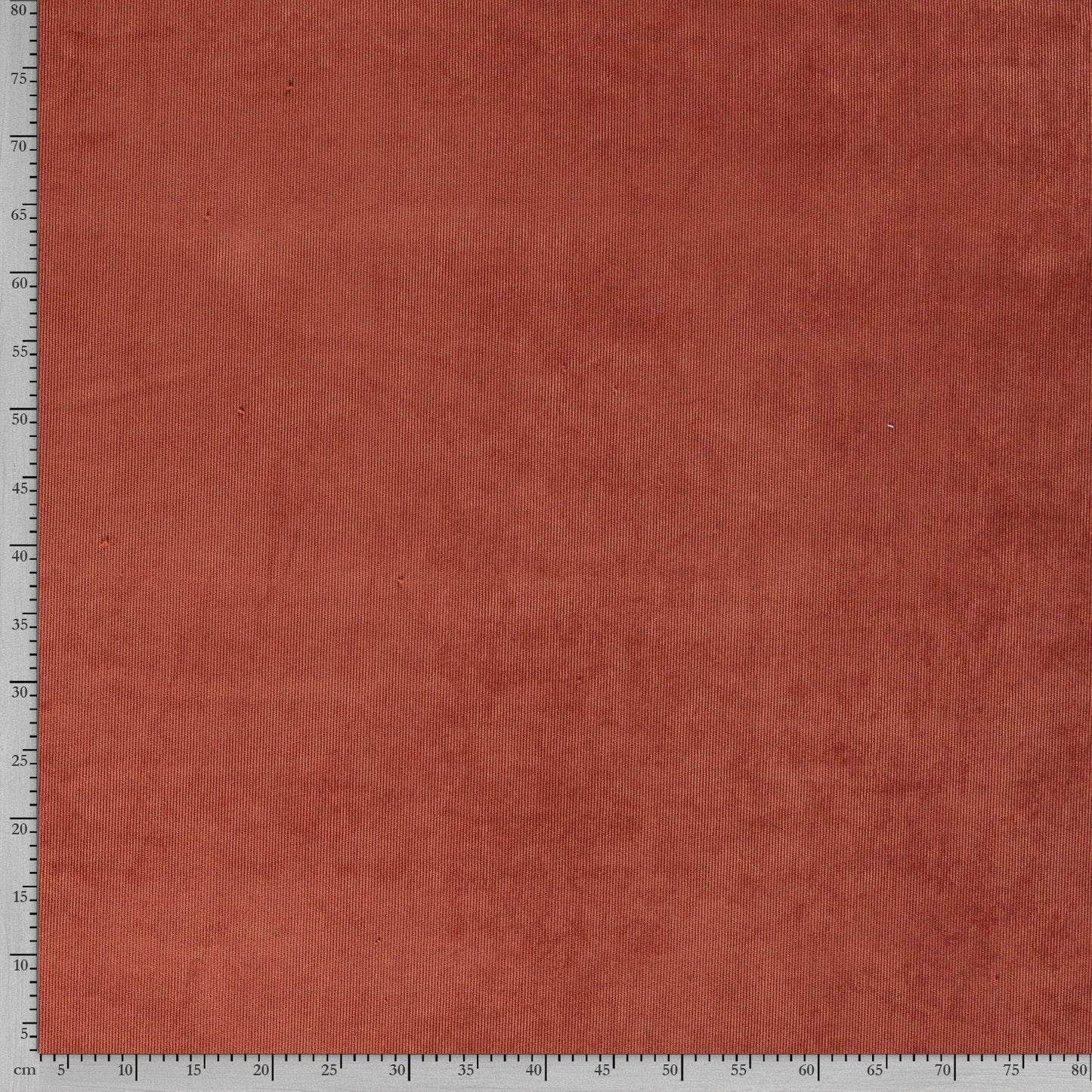 Tissu Velours Velvet - 056