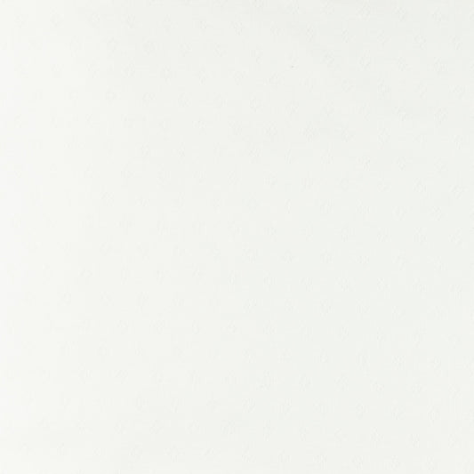 Tissu Jersey Coton Ajouré - Blanc